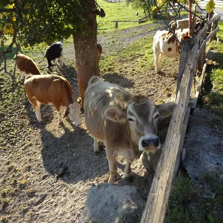 Pernerhof * Aich (Styria)