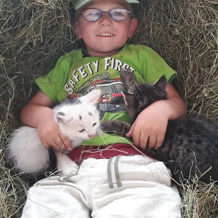 Pernerhof 公寓 艾奇