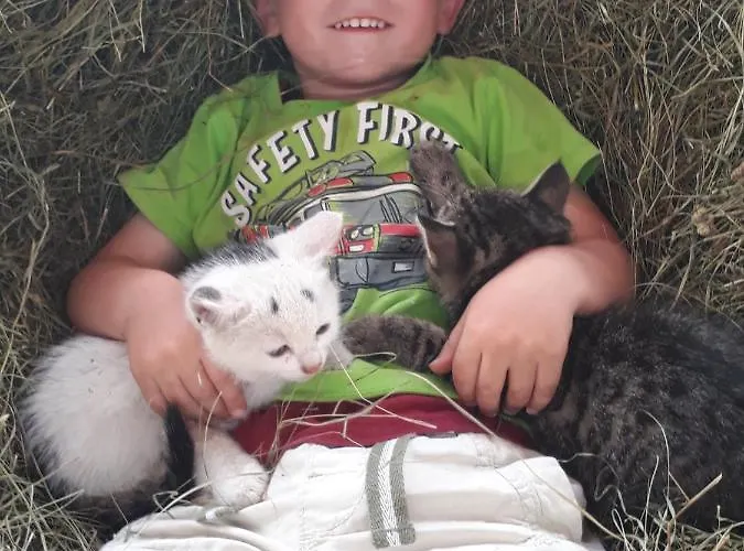 Pernerhof شقة آيش